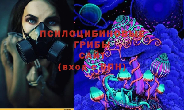 ECSTASY Дмитриев
