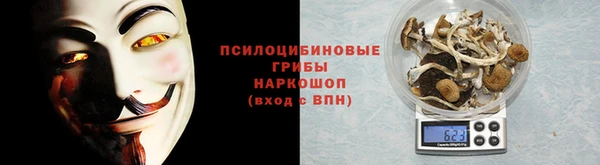 дурь Дмитровск