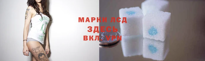 ECSTASY Дмитриев