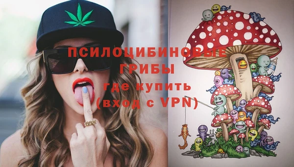 соль курить ск Дмитров