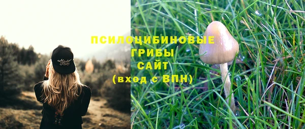 дурь Дмитровск