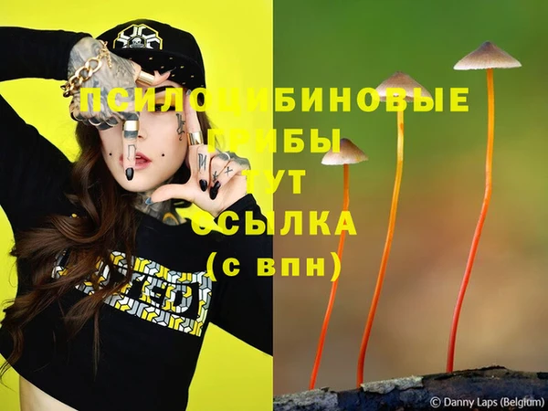 соль курить ск Дмитров
