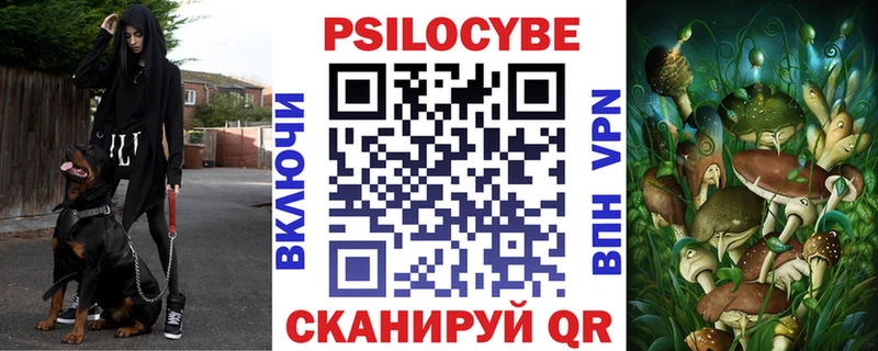 Купить закладки  Куйбышев  Псилоцибиновые грибы Magic Shrooms 